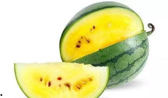 娱乐吃瓜素材哪里找,海量吃瓜素材，一键获取！