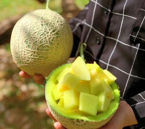 泰国娱乐吃瓜,揭秘明星们的甜蜜与苦涩