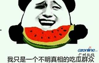 吃瓜群众表示什么意思,网络时代的围观力量